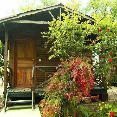 Merhaba Bungalow Hotel Beykonak Room photo
